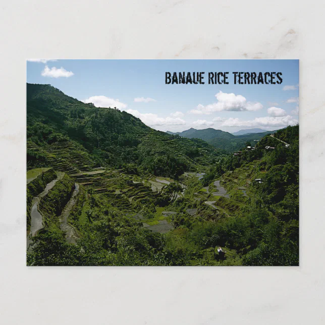 Banaue Rice Terraces Postcard Zazzle 6858