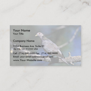Band-tailed Pigeon Business Card