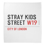 Stray Kids Street  Bandana