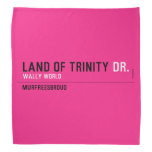 land of trinity  Bandana