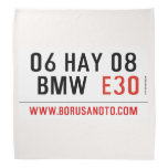06 HAY 08  BMW   Bandana