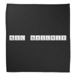 Paul Schulteis  Bandana