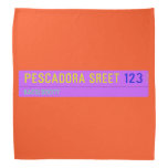 pescadora sreet  Bandana