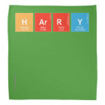 Harry
 
 
   Bandana