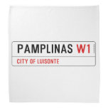 PAMPLINAS  Bandana