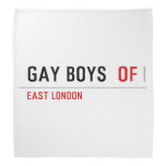 Gay boys   Bandana