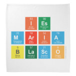 IES
 MARIA 
 BLASCO  Bandana