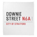 Downie Street  Bandana