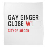 GAY GINGER CLOSE  Bandana