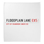 Floodplain lane  Bandana