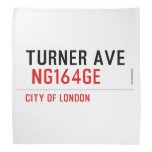 turner ave   Bandana