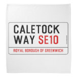 caletock  way  Bandana