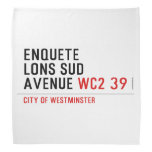enquete  lons sud  avenue  Bandana