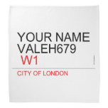 Your Name Valeh679    Bandana