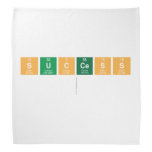 success
   Bandana