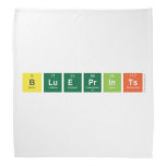 Blueprints  Bandana
