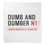 DUMB AND DUMBER  Bandana