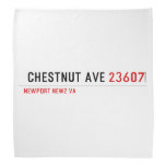  Chestnut Ave  Bandana