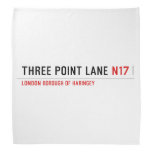 THREE POINT LANE  Bandana