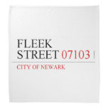 Fleek Street  Bandana