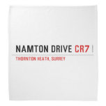 NAMTON DRIVE  Bandana