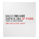 CALLE EMILIANO  ZAPATA 204  Bandana