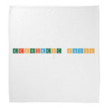 EXPERIMENT STATION
   Bandana