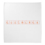 EliotGelwan  Bandana