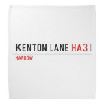 Kenton Lane  Bandana