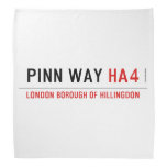 Pinn Way  Bandana