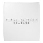 Critical Element
 TECHNOLOGY  Bandana