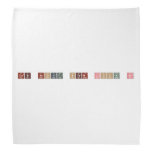 CUB SCOUT STEM LOCK IN  Bandana