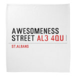 awesomeness street  Bandana