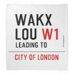 WAKX LOU  Bandana