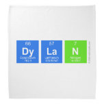 Dylan  Bandana