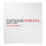 5337163240  Bandana