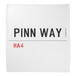 Pinn Way  Bandana
