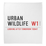 URBAN WILDLIFE   Bandana
