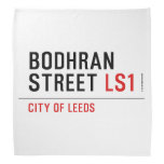 Bodhran Street  Bandana