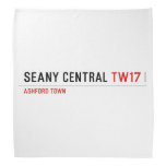 SEANY CENTRAL  Bandana