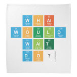 What
 would
 Walt
 Do?  Bandana