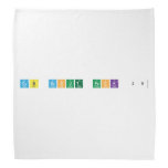 Cub Scout Pack 28  Bandana