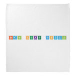 brain hacker festival  Bandana