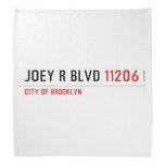 JOEY R BLVD  Bandana