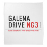 galena drive  Bandana