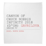Canyon of chuck norris INFinity 2018 (D'oh)  Bandana