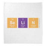 Selin  Bandana