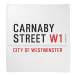 CARNABY STREET  Bandana
