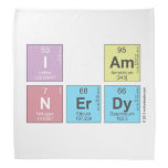 I AM
 N|erdy  Bandana