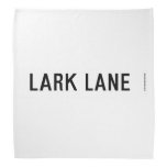 LARK LANE  Bandana